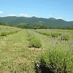 Proljece * Fužine